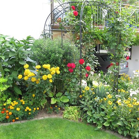 Abendstille Am Obstgarten Mit Terrasse Zapfendorf Екстериор снимка